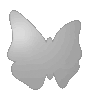 Hochwertiges Magnetschild in Schmetterling-Form